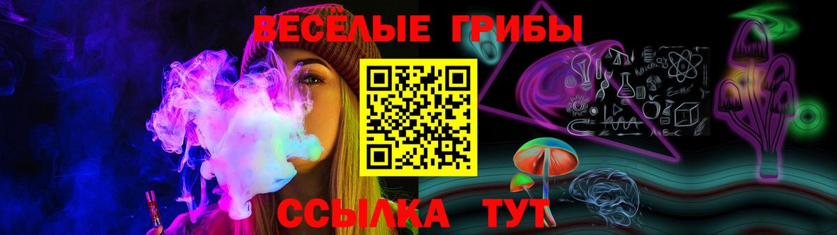 Псилоцибиновые грибы мицелий Выборг